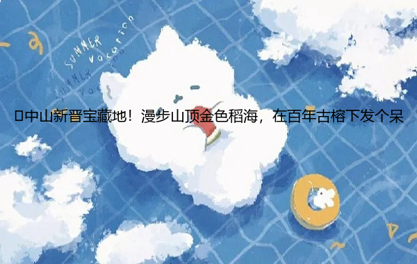 中山新晋宝藏地!漫步山顶金色稻海,在百年古榕下发个呆