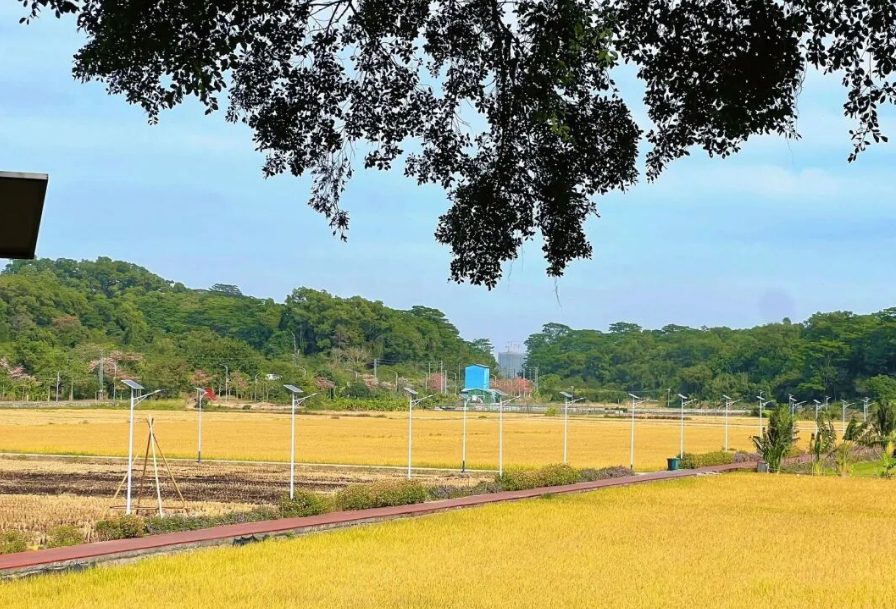 1765161338515731.png image.png