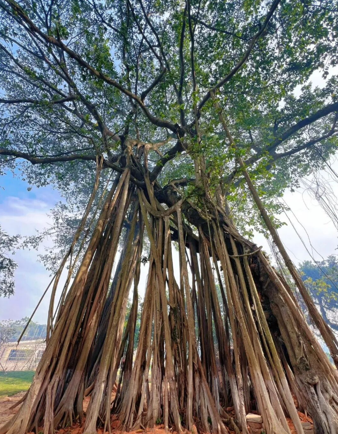 1765161382277887.png image.png