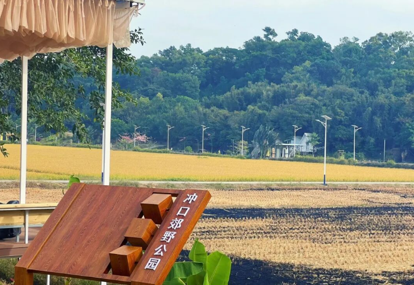 1765161397697713.png image.png